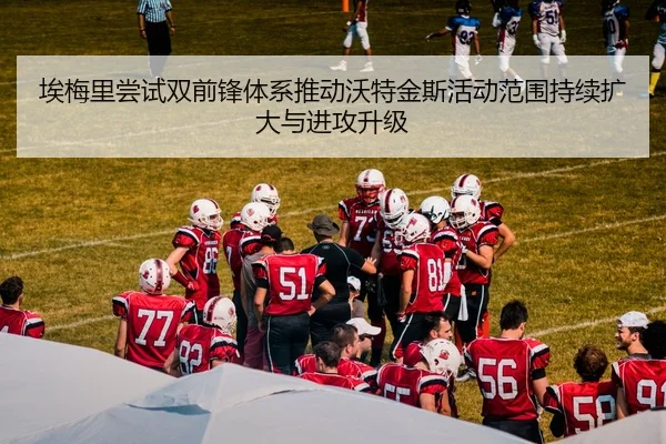 img_1783786357473_2101_1_859.jpg